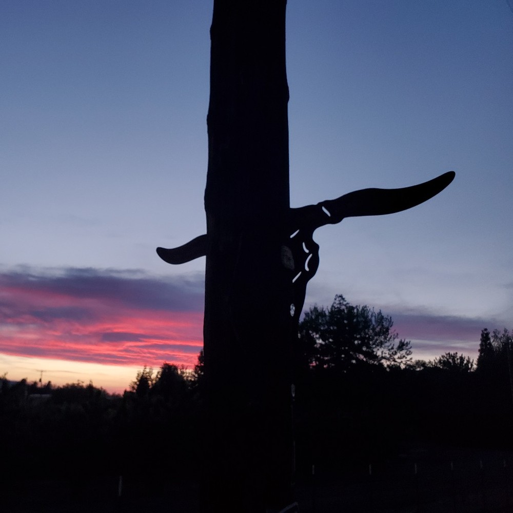 Meet your Posher, Gina